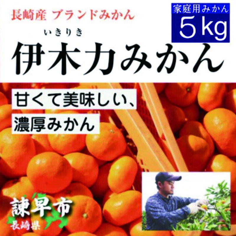 2位! 口コミ数「3件」評価「5」先行予約 伊木力みかん（家庭用）5kg / みかん ミカン 蜜柑 フルーツ 果物 / 諫早市 / 山野果樹園 [AHCF002]