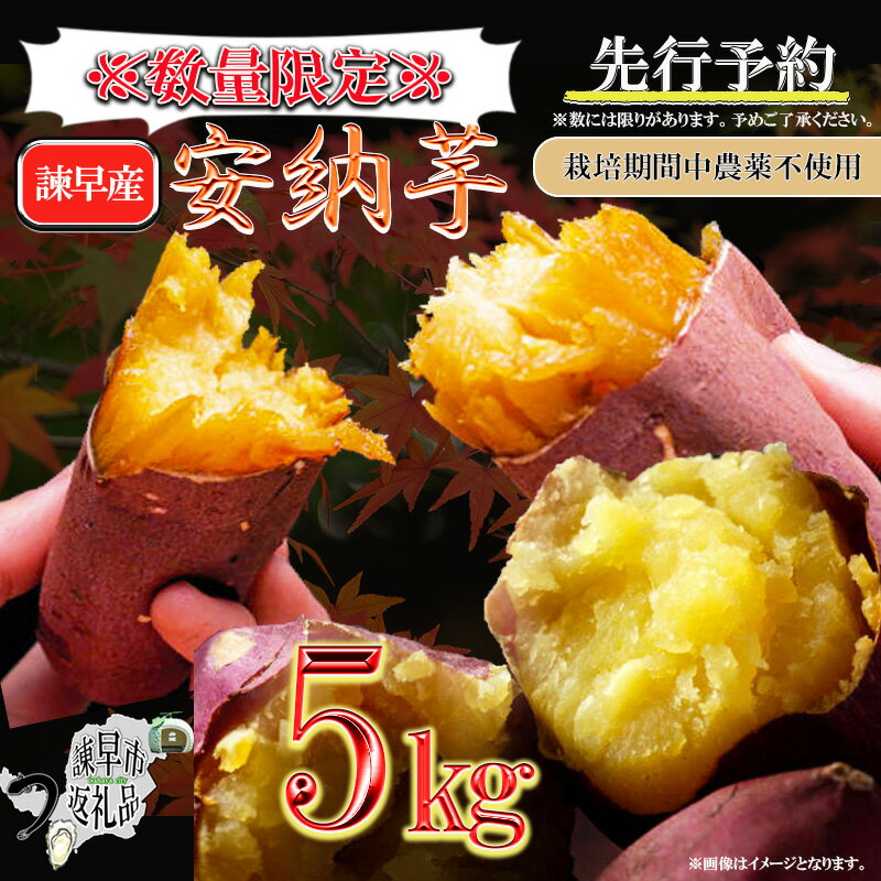 【ふるさと納税】【先行予約】栽培期間中農薬不使用さつまいも「安納芋」5kgのサムネイル