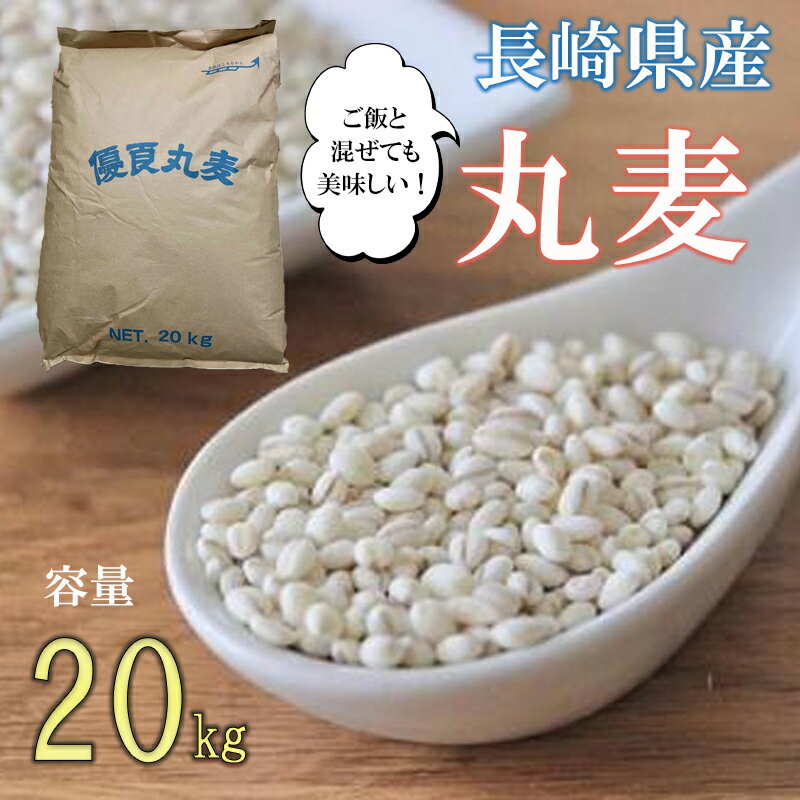 【ふるさと納税】丸麦(長崎県産)20kg / 麦 麦味噌 雑