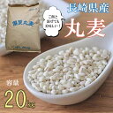 米・雑穀(麦)人気ランク24位　口コミ数「0件」評価「0」「【ふるさと納税】丸麦(長崎県産)20kg / 麦 麦味噌 雑穀 雑穀米 麦ごはん / 諫早市 / 有限会社伊東精麦所 [AHBU001]」