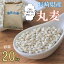 【ふるさと納税】丸麦(長崎県産) 16,000円