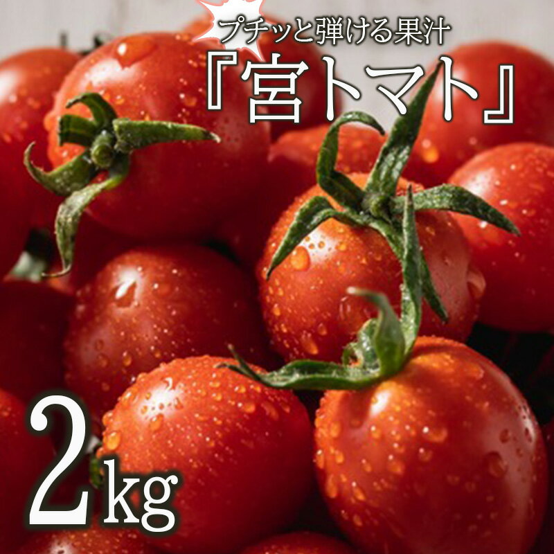 【ふるさと納税】プチッと弾ける果汁「宮トマト」2kg / ト