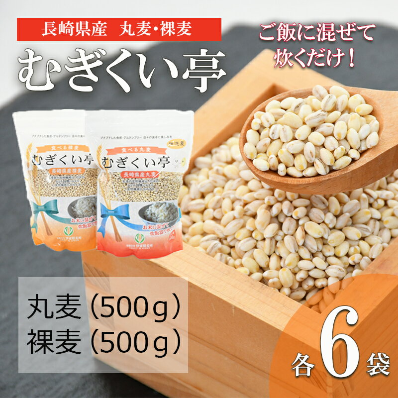 むぎくい亭(丸麦500gx6・裸麦500gx6) / 麦 丸麦 はだか麦 麦味噌 雑穀 雑穀米 / 諫早市 / 有限会社伊東精麦所 [AHBU002]