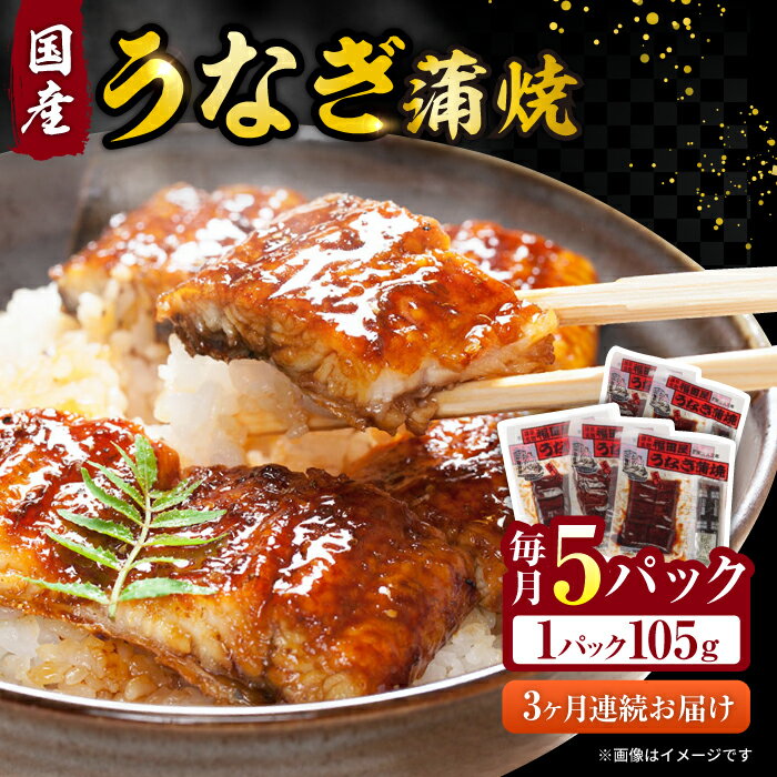 13位! 口コミ数「0件」評価「0」【3回定期便】福田屋食品　うなぎ蒲焼5P(真空パック) / 特上 うなぎ 鰻 蒲焼 ウナギ / 諫早市 / 諫早観光物産　コンベンション協会･･･ 