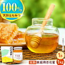 【ふるさと納税】多良岳のふもとで採れた貴重な天然はちみつ「百花蜜」(家庭用)1kg×1本 / 百花蜜 百花蜂蜜 蜂蜜 はちみつ / 諫早市 / 諫早観光物産 コ...