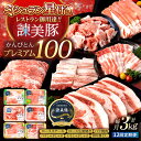 【ふるさと納税】【12回定期便】<特Aの米で育てた>諫美豚プレミアム100おすすめセット 計3kg( ロースステーキ ロース バラ モモ 切り落とし ) / 豚...