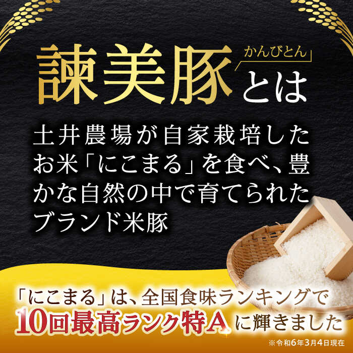 長崎県諫早市の画像2