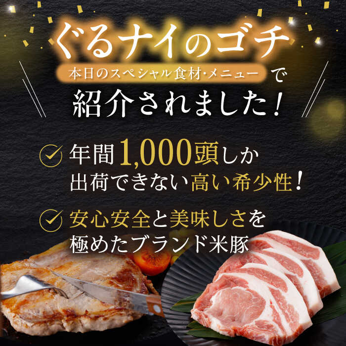 長崎県諫早市の画像3