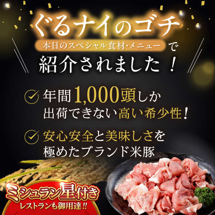 長崎県諫早市の画像3