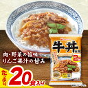 【ふるさと納税】【小分け】日本ハム 牛丼の具10パックセット(1パック2袋入)計20食分 / 牛肉 牛丼 牛どん レトルト レトルト牛丼 小分け / 諫早市 /...