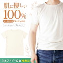 【ふるさと納税】【日本アトピー協会推薦品】オーガニックコットン半袖Tシャツ(メンズ / Mサイズ) / Tシャツ メンズ 綿 オーガニック おーがにっく オーガ...