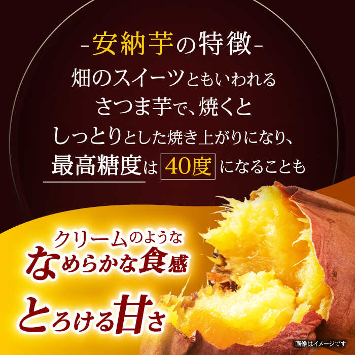 長崎県諫早市の画像2