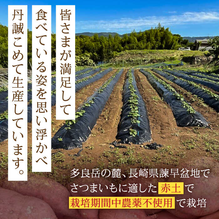 長崎県諫早市の画像3