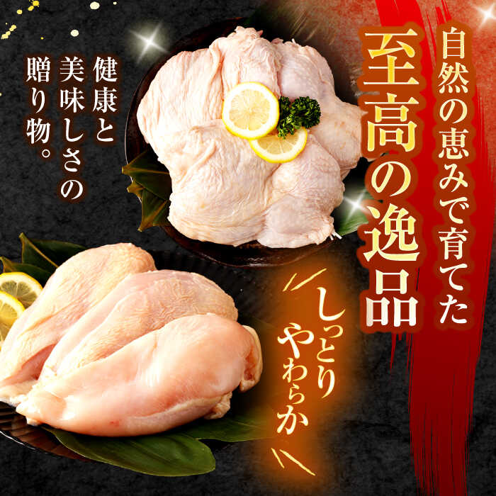 長崎県諫早市の画像2