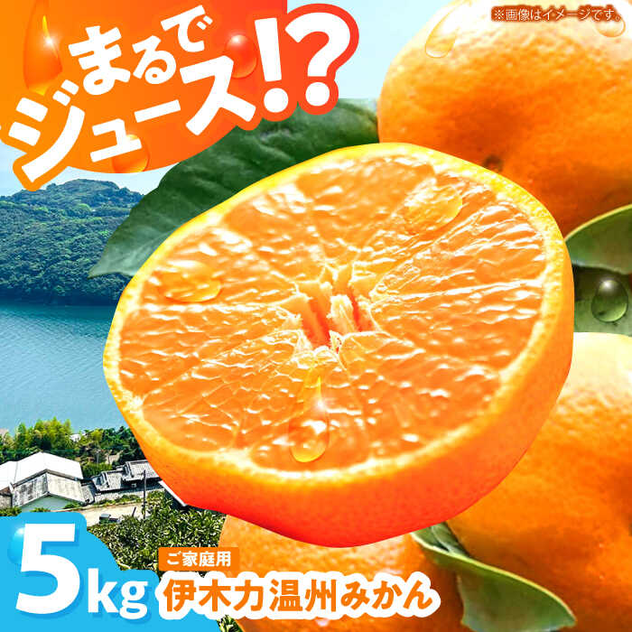 【ふるさと納税】伊木力温州みかん5kg(ご家庭用、箱入り) / 伊木力 温州みかん みかん ミカン 蜜柑 佐瀬 諫早 多良見 長崎 / 末永果樹園[AHBD003]のサムネイル