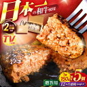 【ふるさと納税】【12回定期便】ながさきふわとろハンバーグ 150g×5個入【贈答用】 / ハンバーグ はんばーぐ 肉 牛肉 豚肉 おかず 惣菜 定期便 / 諫...