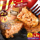 【ふるさと納税】【12回定期便】ながさきふわとろハンバーグ 150g×5個入 / ハンバーグ はんばーぐ 肉 牛肉 豚肉 おかず 惣菜 定期便 / 諫早市 / ...