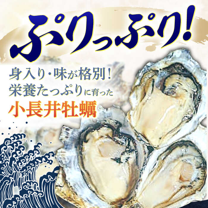 長崎県諫早市の画像2