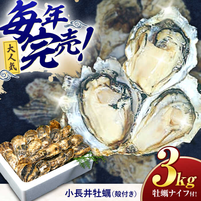 【ふるさと納税】小長井牡蠣（殻付き）3kg 牡蠣ナイフ付き / かき カキ 牡蠣 海鮮 / 諫早湾漁業協同組合 [AHBJ005]のサムネイル