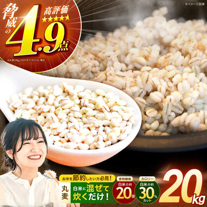 楽天市場】ふるさと納税 米 20kg(総重量(米/穀物)20.0 楽天市場】ふるさと納税 米 20kg(総重量(米/穀物)20.0