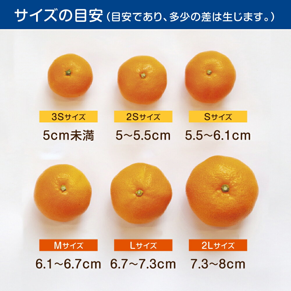 長崎県諫早市の画像3