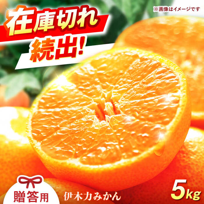 楽天市場】みかん 伊木力の通販 楽天市場】みかん 伊木力の通販
