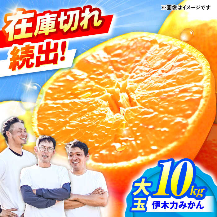 楽天市場】みかん 10kg 青島の通販 楽天市場】みかん 10kg 青島の通販
