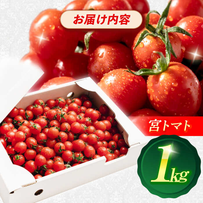 今話題の薬味！北海道産山わさび　約100g前後
