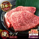 【ふるさと納税】【3回定期便】ランプ ステーキ 300g(150g×2枚) / ステーキ 長崎和牛 A4〜A5ランク 希少部位 / 諫早市 / 野中精肉店[AH...