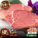 【ふるさと納税】【6回定期便】極上 ヒレ ステーキ 300g(150g×2枚) / ヒレステーキ 長崎和牛 A4〜A5ランク 希少部位 / 諫早市 / 野中精肉...