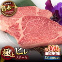 【ふるさと納税】【12回定期便】極上 ヒレ ステーキ 300g(150g×2枚) / ヒレステーキ 長崎和牛 A4〜A5ランク 希少部位 / 諫早市 / 野中精...