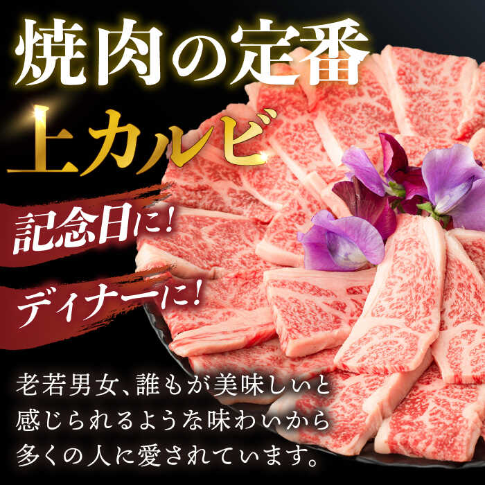 長崎県諫早市の画像3