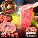 【ふるさと納税】【12回定期便】【焼き肉満喫セット】モモ 上カルビ 総計900g / 焼肉 牛肉 長崎和牛 A4〜A5ランク / 諫早市 / 野中精肉店[AHC...
