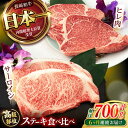 【ふるさと納税】【6回定期便】【二大高級部位!】サーロイン と ヒレ ステーキ 計700g (各2枚) / 長崎和牛 A4〜A5ランク 希少部位 / 諫早市 /...