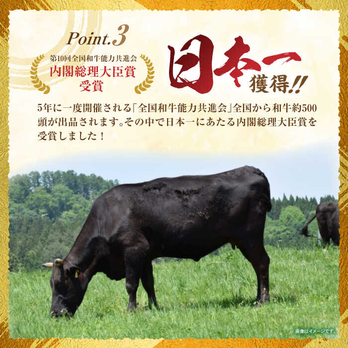 長崎県諫早市の画像3