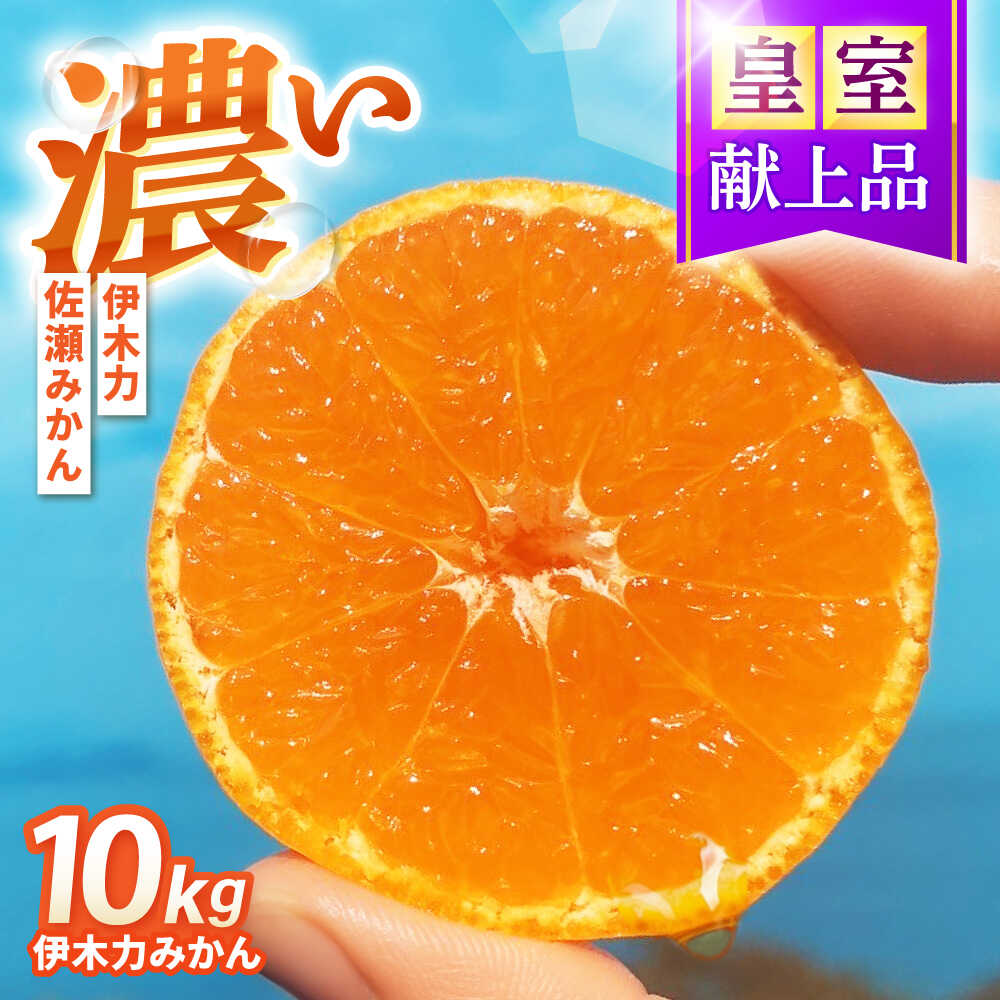 【ふるさと納税】伊木力みかん　10kg / 諫早市 /伊佐農園[AHFI016](4)