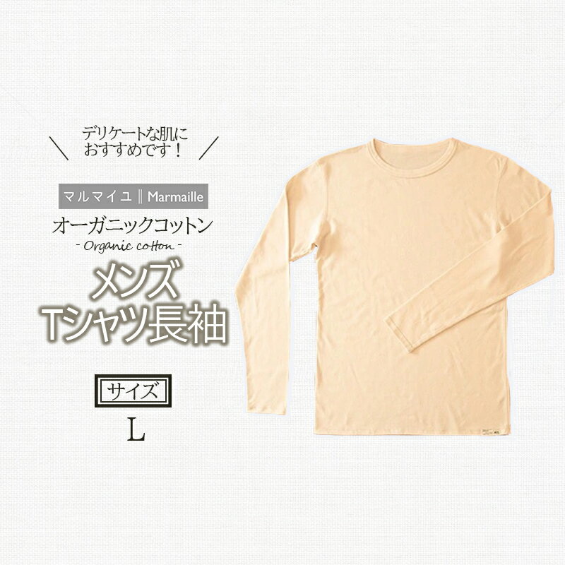 【ふるさと納税】オーガニックコットンTシャツ長袖メンズ(Lサ