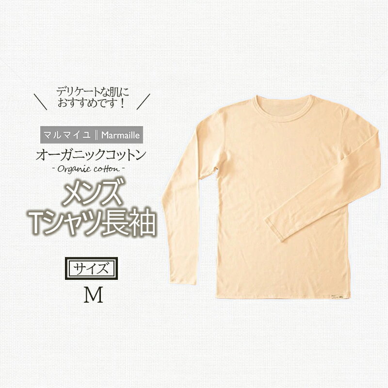 【ふるさと納税】オーガニックコットンTシャツ長袖メンズ(Mサ