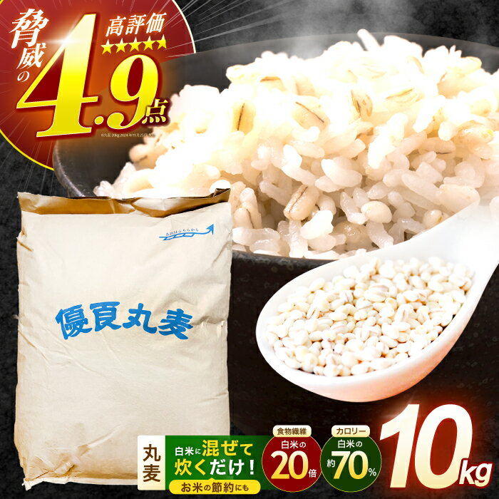 長崎県産 丸麦 10~20kg / 麦 むぎ 雑穀 雑穀米 麦ごはん 麦飯 麦みそ 食物繊維 長崎県産 米 こめ コメ ※ / 諫早市 / 有限会社伊東精麦[AHBU005]