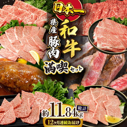 【12回定期便】長崎和牛満喫コース 焼肉 ハンバーグ ステーキ　総量11.84kg 大村市 おおむら夢ファームシュシュ[ACAA104]