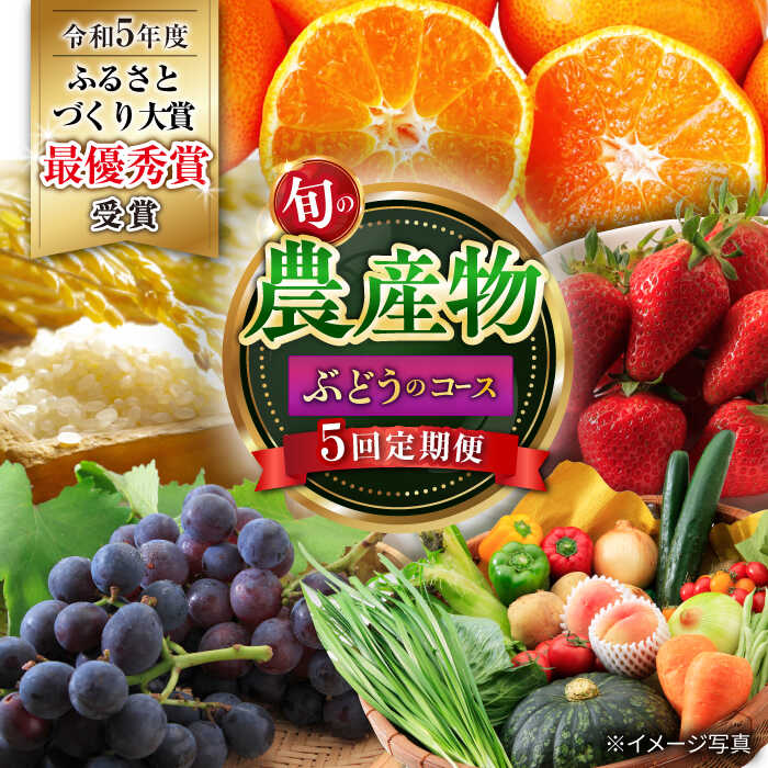 18位! 口コミ数「0件」評価「0」【5回定期便】シュシュ旬の農産物よりどり葡萄のコース 大村市 おおむら夢ファームシュシュ[ACAA120]