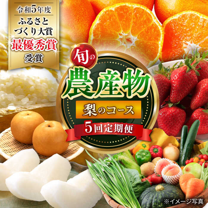 [5回定期便]旬の農産物 梨コース / 野菜 やさい 果物 くだもの フルーツ ふるーつ 産地直送 なし 梨 ナシ フルーツ定期便 / 大村市 / おおむら夢ファームシュシュ[ACAA121]