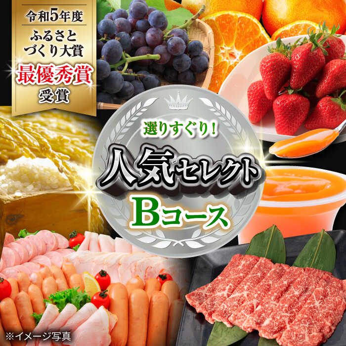 8位! 口コミ数「0件」評価「0」【12回定期便】シュシュの超人気　シュシュ色々なコース 大村市 おおむら夢ファームシュシュ[ACAA123]