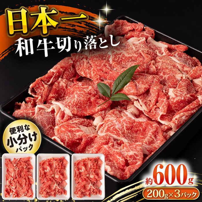 長崎和牛 切り落とし肉 600g 大村市 おおむら夢ファームシュシュ[ACAA140]