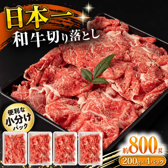 長崎和牛 切り落とし肉 800g 大村市 おおむら夢ファームシュシュ[ACAA141]