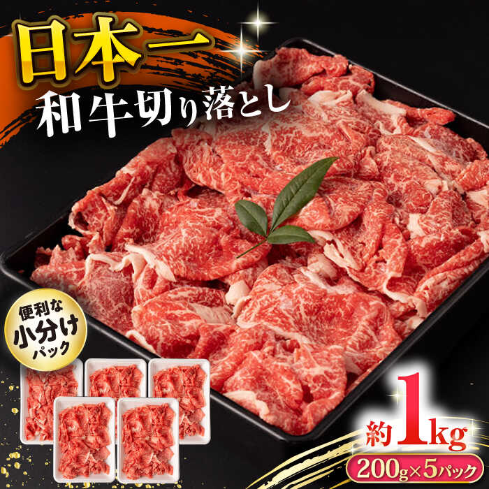 長崎和牛 切り落とし肉 1kg 大村市 おおむら夢ファームシュシュ[ACAA142]