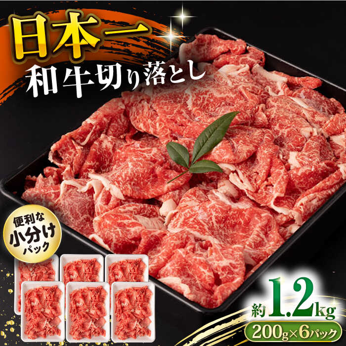 長崎和牛 切り落とし肉 1.2kg 大村市 おおむら夢ファームシュシュ[ACAA143]