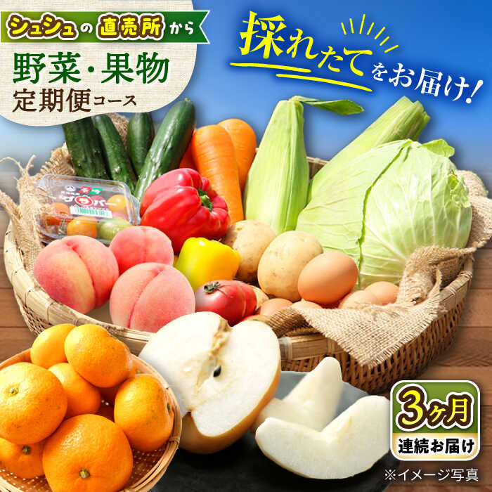 18位! 口コミ数「0件」評価「0」【3回定期便】シュシュの直売所から野菜・果物定期便コース 大村市 おおむら夢ファームシュシュ[ACAA164]