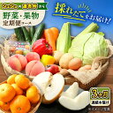 15位! 口コミ数「0件」評価「0」【3回定期便】シュシュの直売所から野菜・果物定期便コース 大村市 おおむら夢ファームシュシュ[ACAA164]