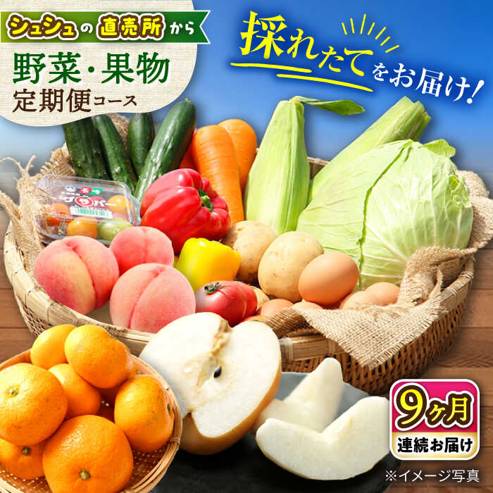 59位! 口コミ数「0件」評価「0」【9回定期便】シュシュの直売所から野菜・果物定期便コース 大村市 おおむら夢ファームシュシュ[ACAA166]